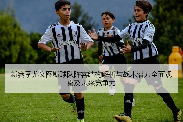 新赛季尤文图斯球队阵容结构解析与战术潜力全面观察及未来竞争力