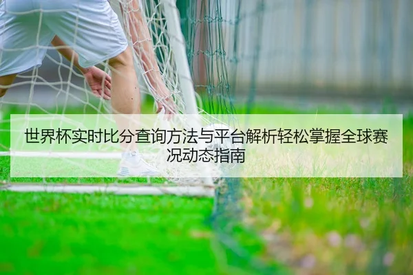 世界杯实时比分查询方法与平台解析轻松掌握全球赛况动态指南